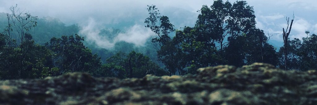 faiz_hamid's profile banner image