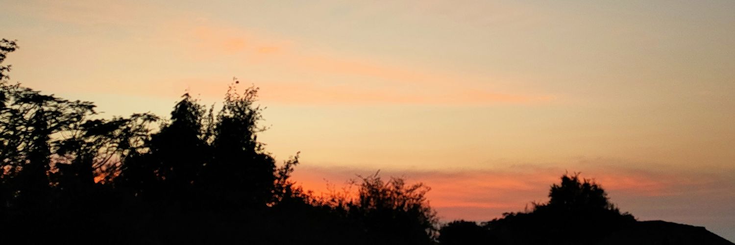 ♥BiBi♥ banner