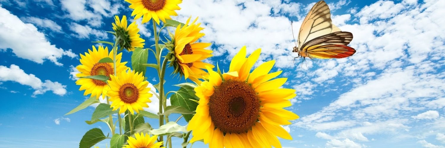 Classic Lady! 🇺🇲🇺🇸 banner