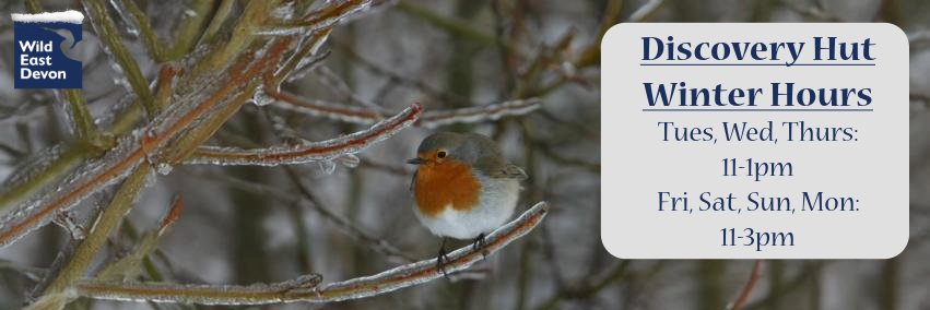 Wild East Devon banner
