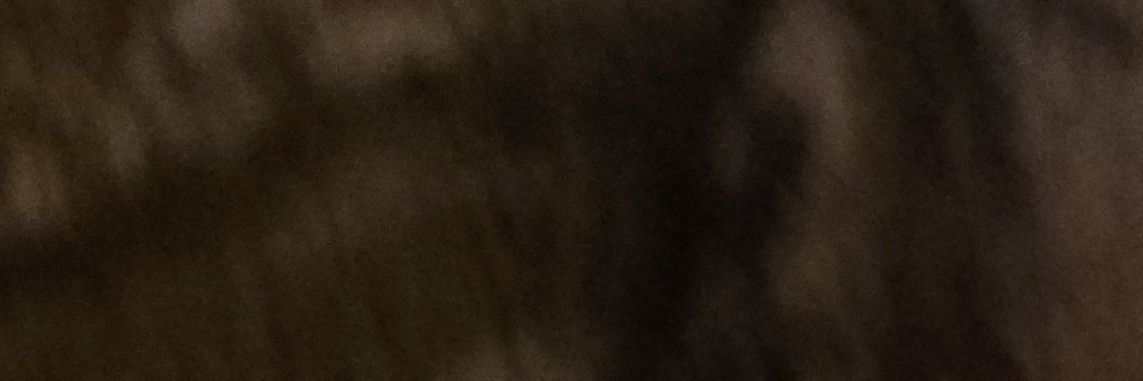 Chris Crane banner