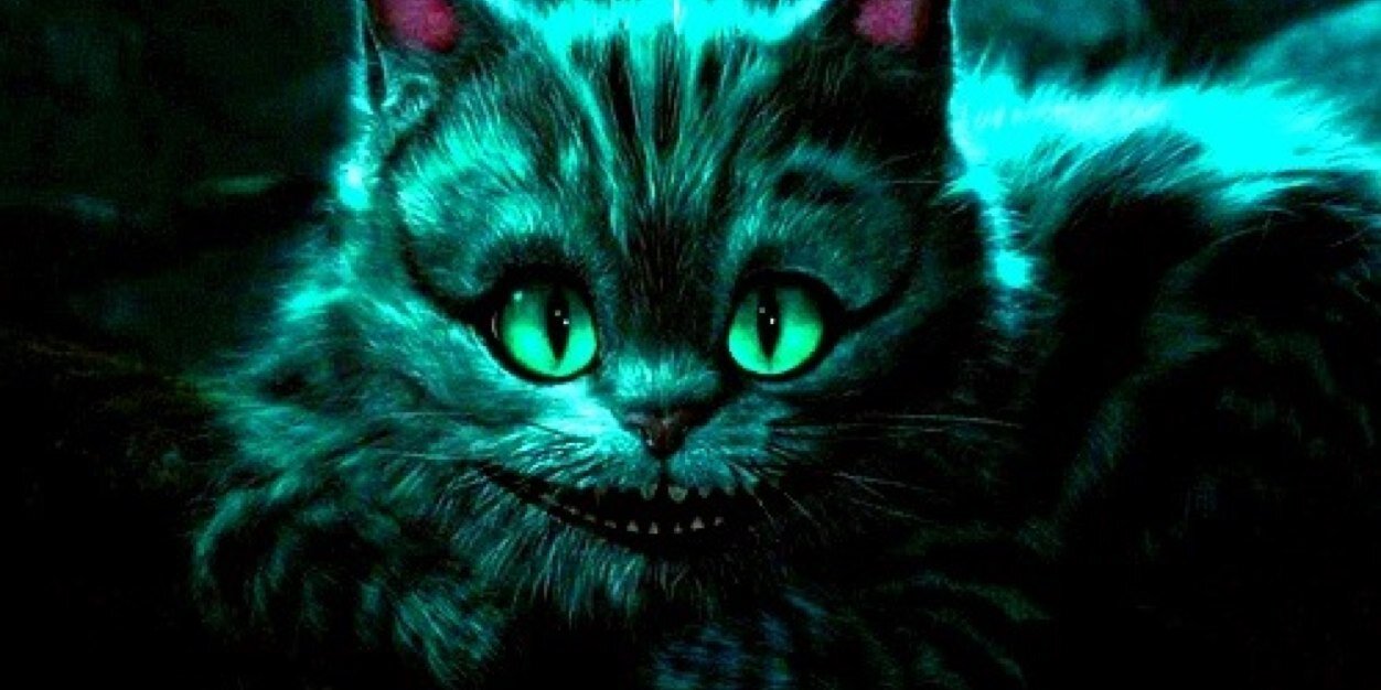 TheCatWhoSmiles's profile banner image