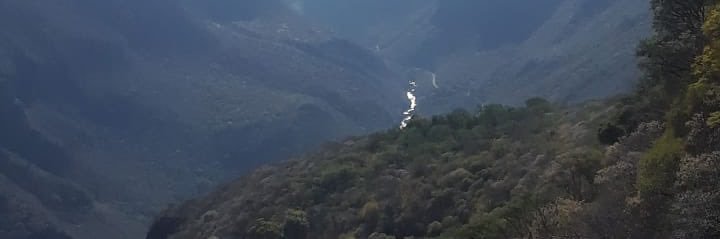 Don Manuel banner