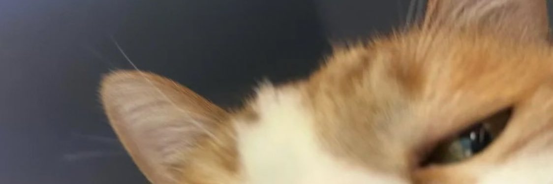 Febby6298's profile banner image