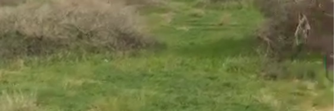 bbhh1970's profile banner image