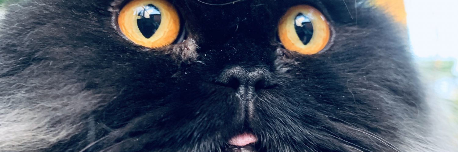 jemito13's profile banner image