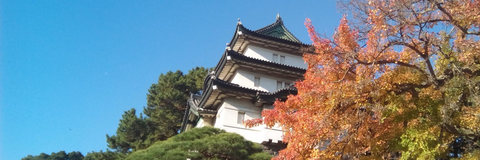 道灌（どうかん） banner