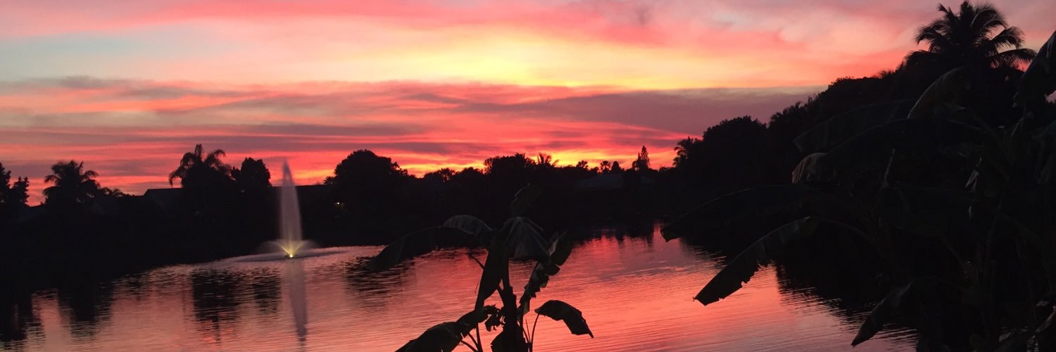 queenjellyj's profile banner image