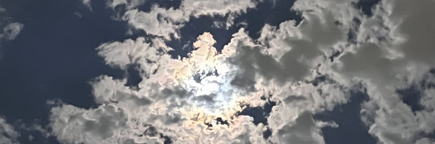 holiohlie's profile banner image