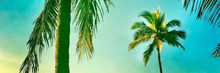 ShopsOnIvanhoe's profile banner image