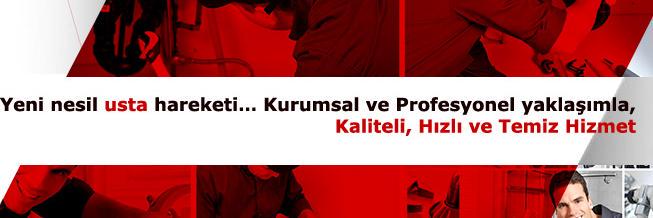 Ustaeli's profile banner image