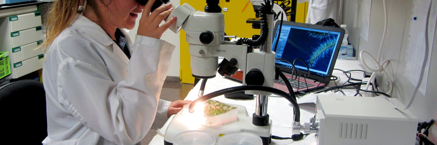 Máster Biotecnología's banner
