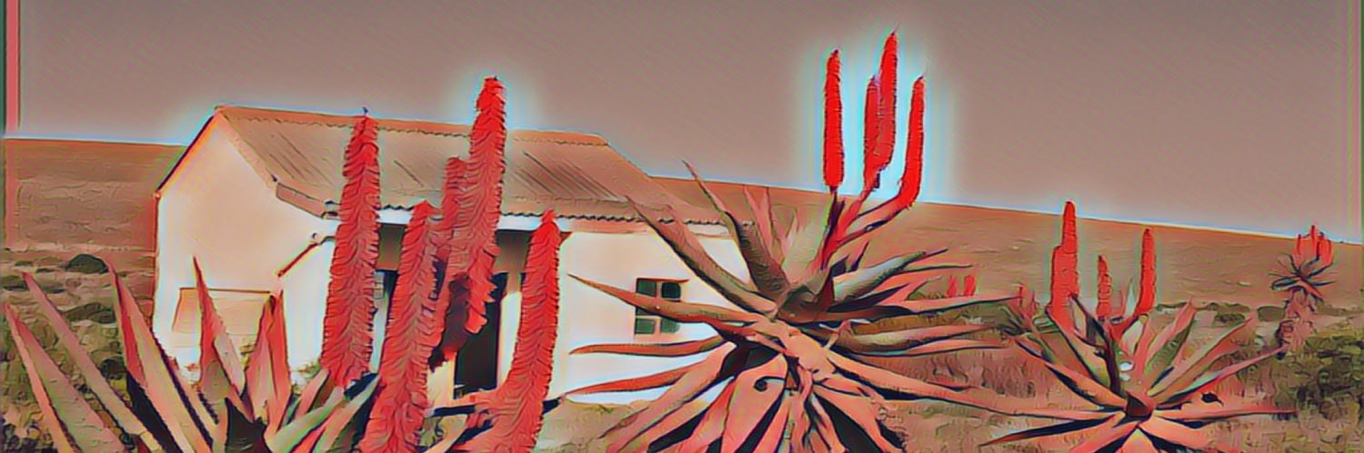 limitoflanguage's profile banner image