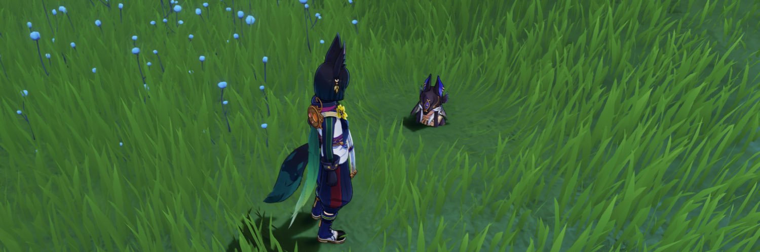aroidtty5's profile banner image