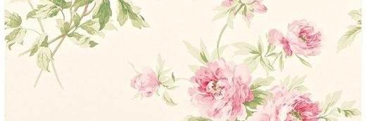prisiria's profile banner image