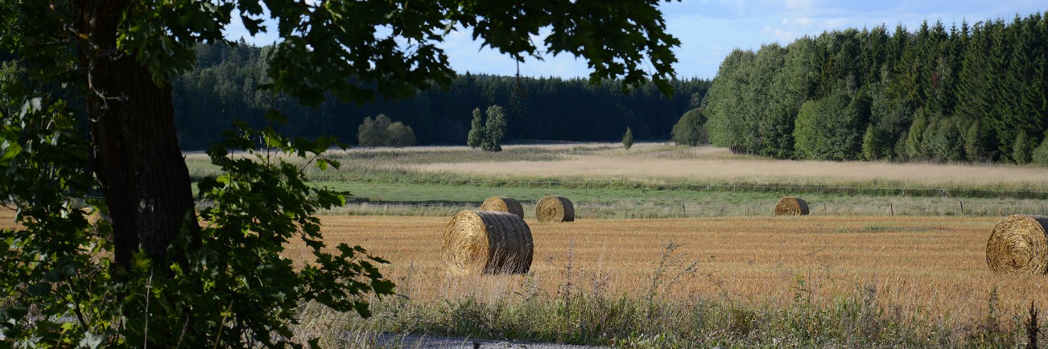 LRFBrussels's profile banner image