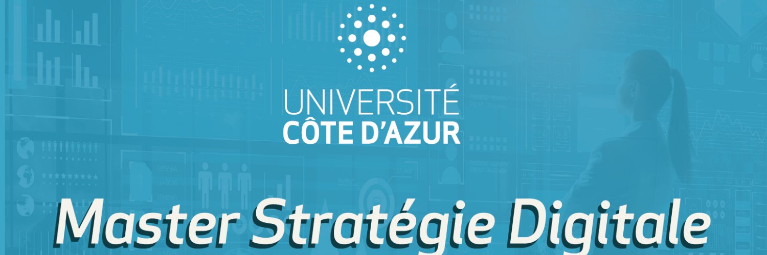 Master Stratégie Digitale banner