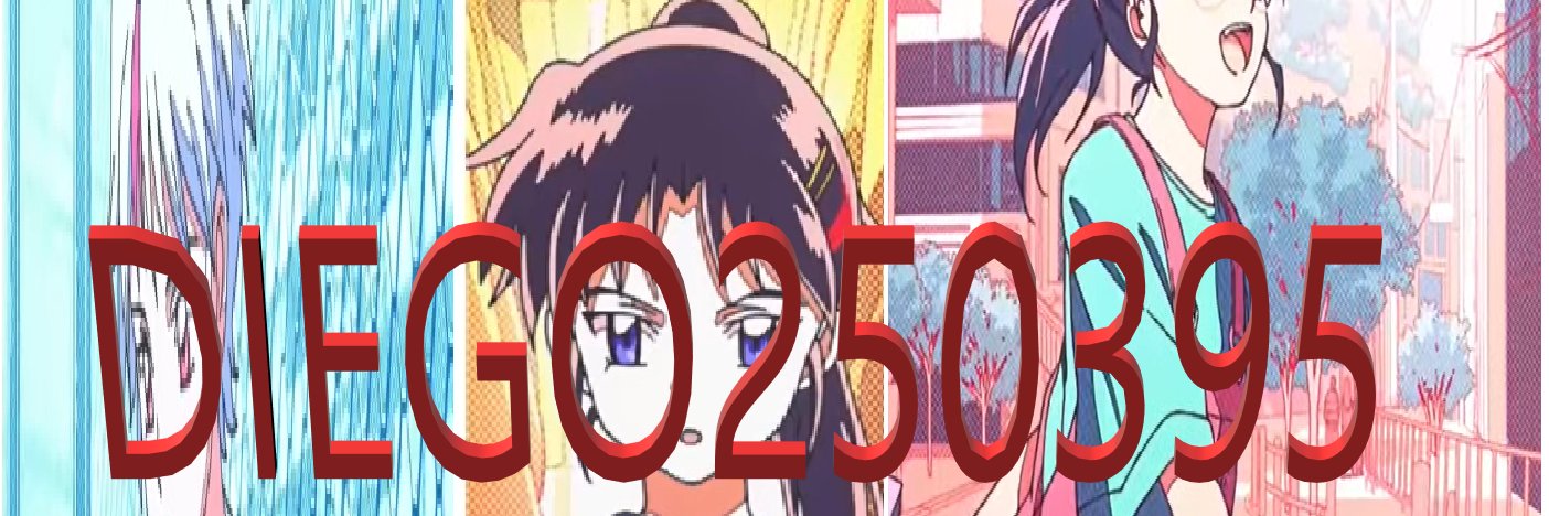 diego250395oficial banner