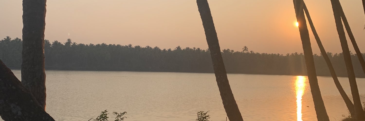 minikesav's profile banner image