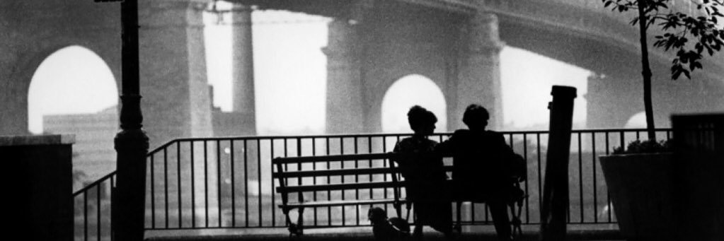 Feigelman_V's profile banner image