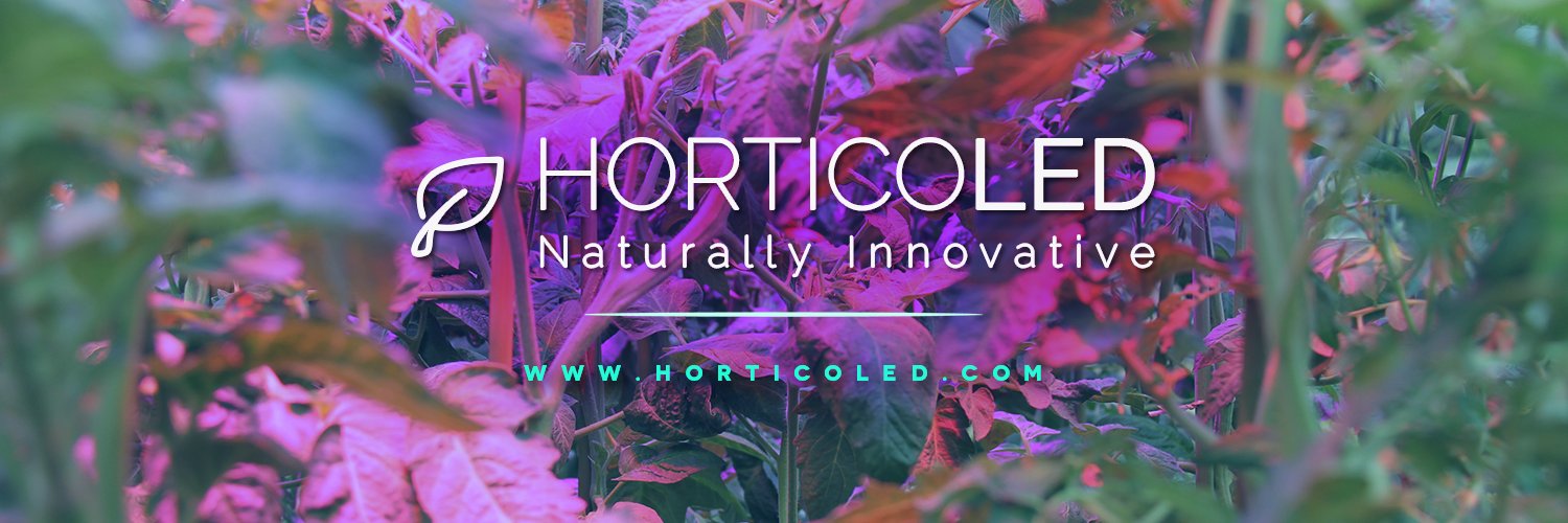 HORTICOLED's profile banner image