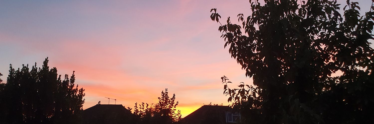 Daniel Courtney banner