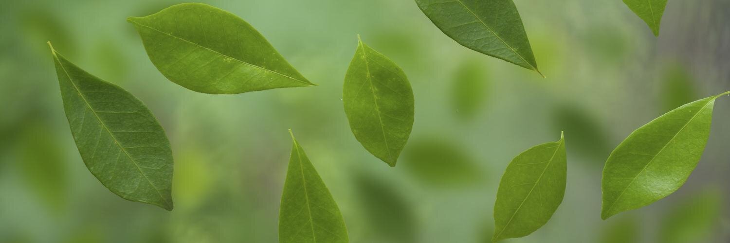 bdlagrar's profile banner image