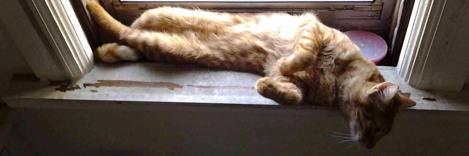 kittencrochet's profile banner image