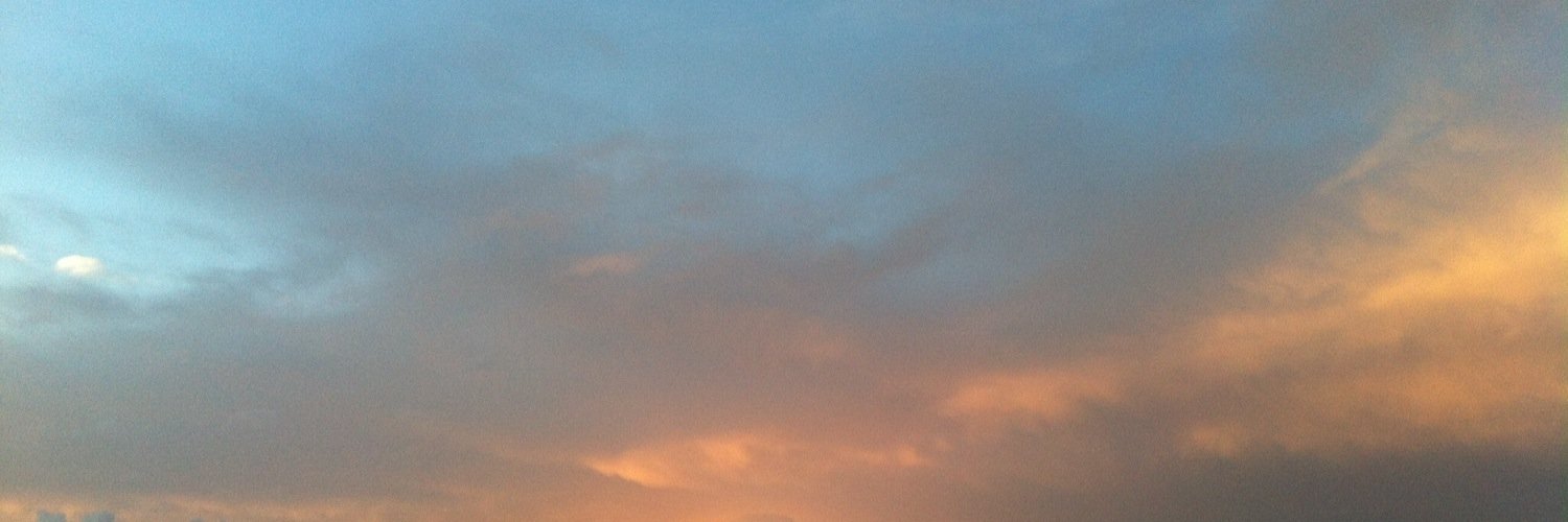 sonjawheaton2's profile banner image