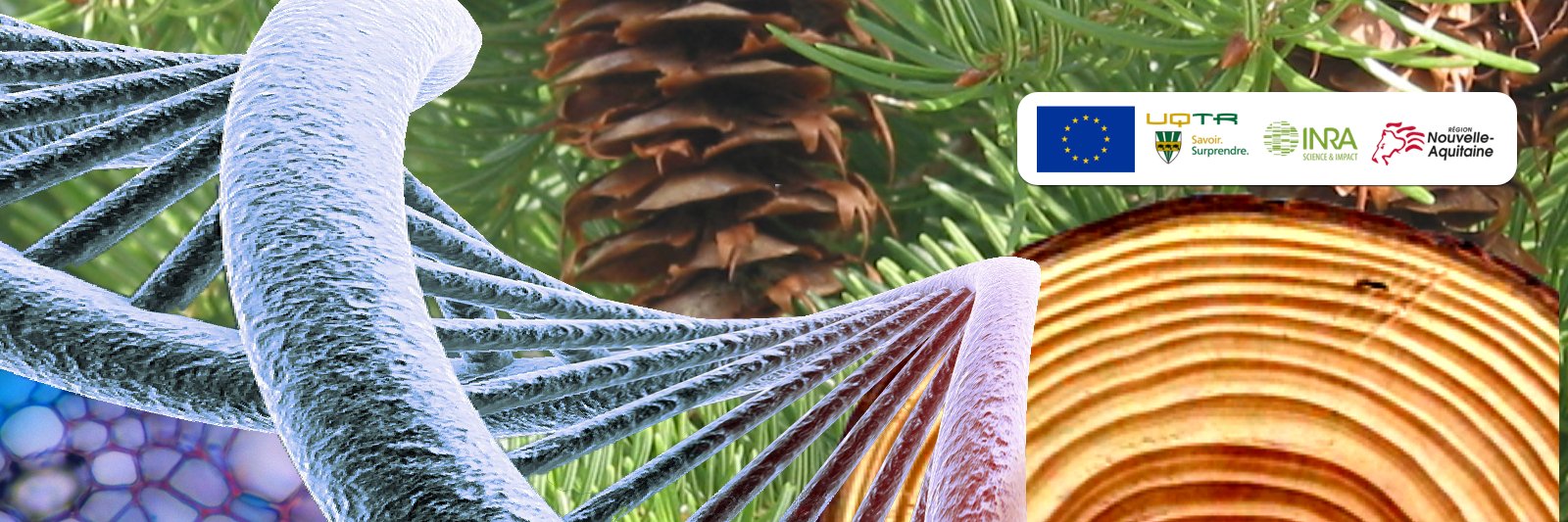 SYLVALIM's profile banner image