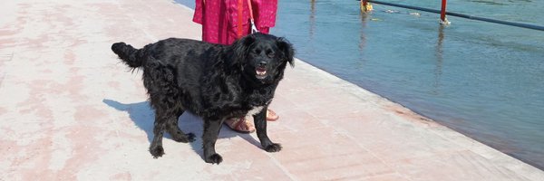 RanjanaHaz Profile Banner