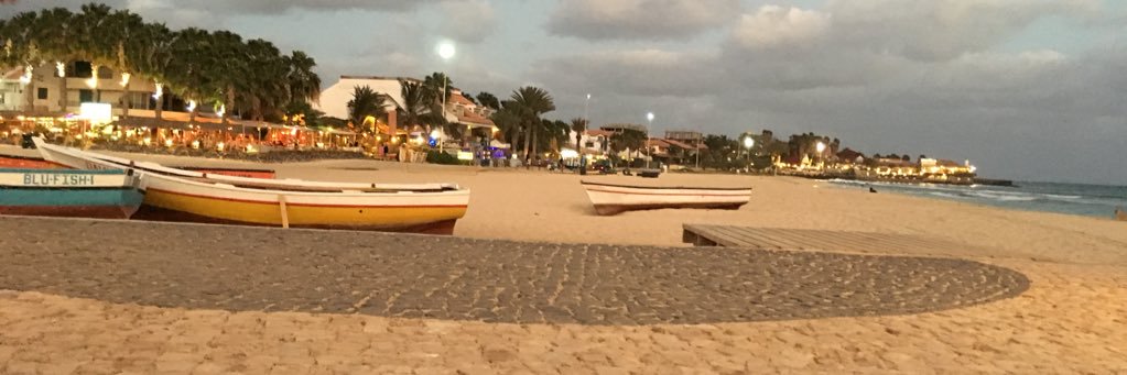 Simon Icard  banner