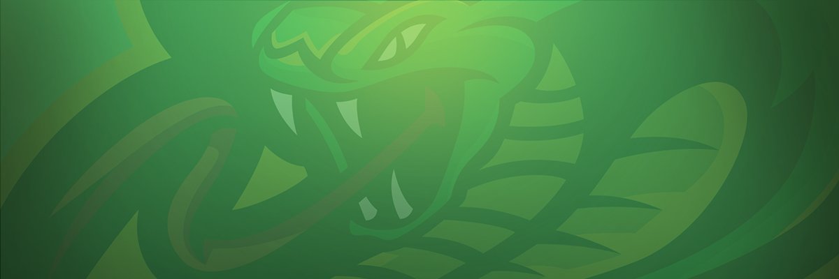 VIP0R 🐍 banner