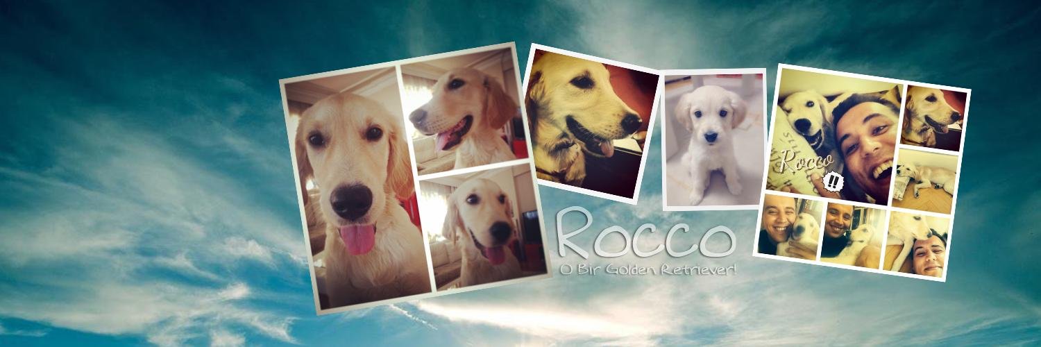 roccoguler's profile banner image