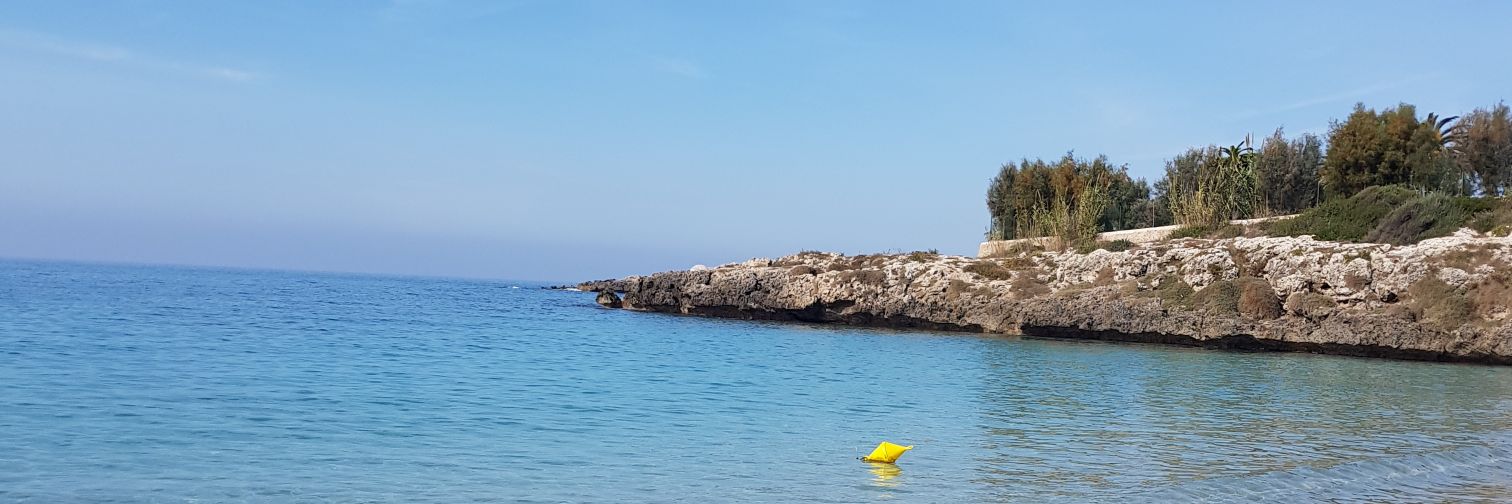 GrazianoDebora's profile banner image