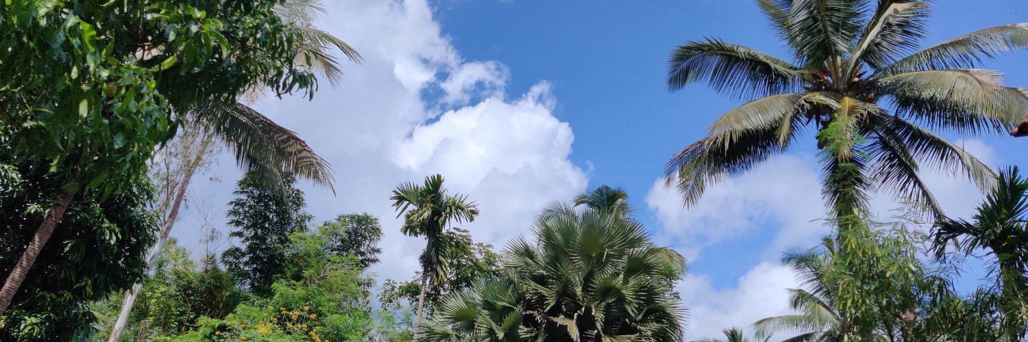 uHegde16's profile banner image