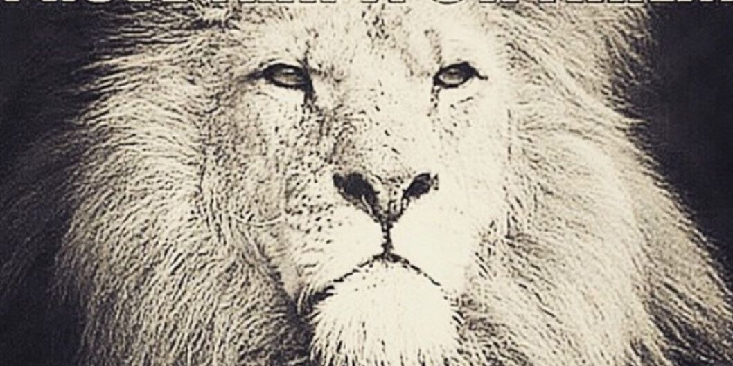 Tjakada1's profile banner image