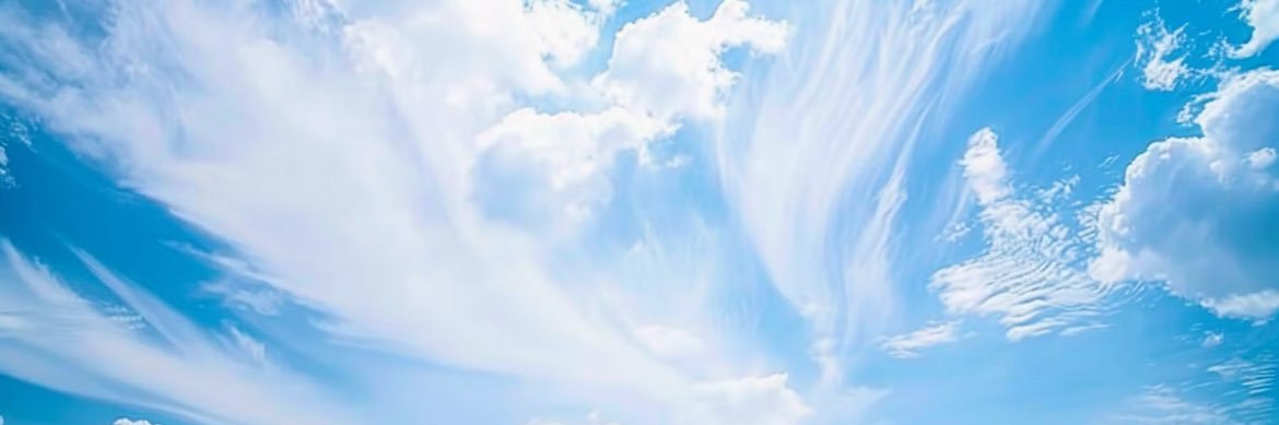 MonicaLopezAlon's profile banner image