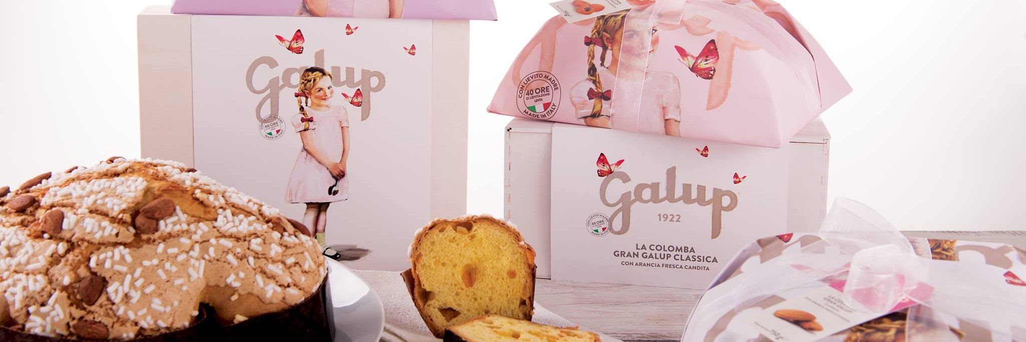 Galup banner