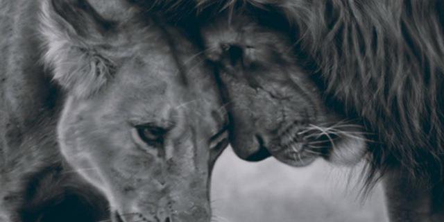 ThatBoyFearless's profile banner image