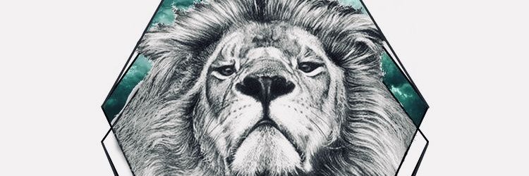 sibellace's profile banner image