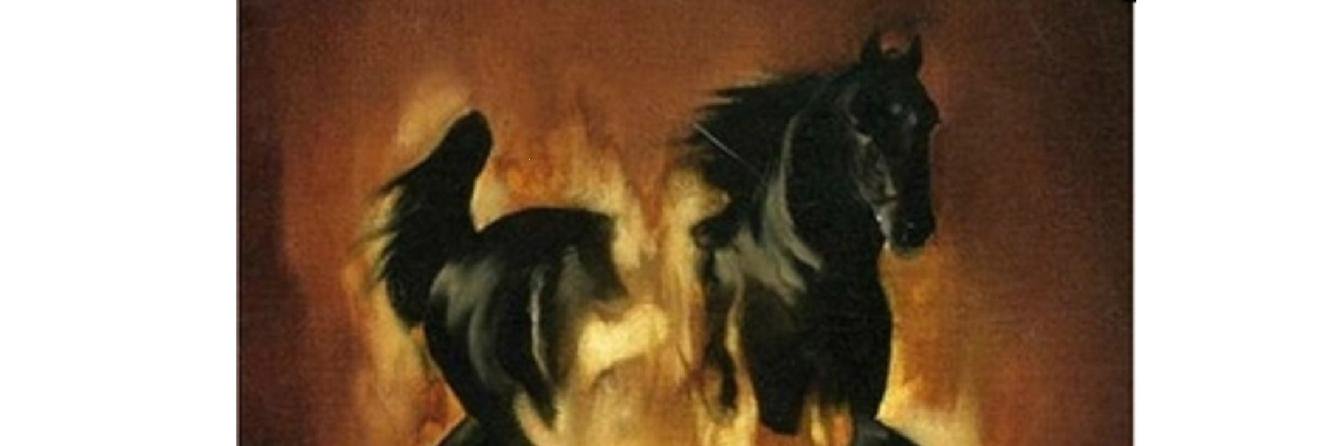 LaynieR's profile banner image