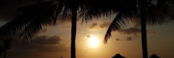 maxamadaibrahim Profile Banner