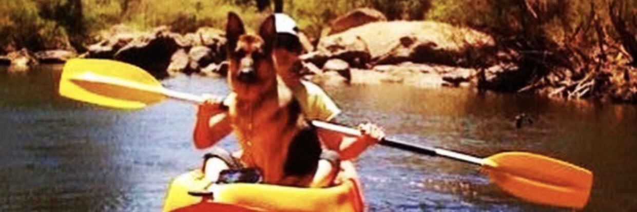 Gluten Free Vegemite banner