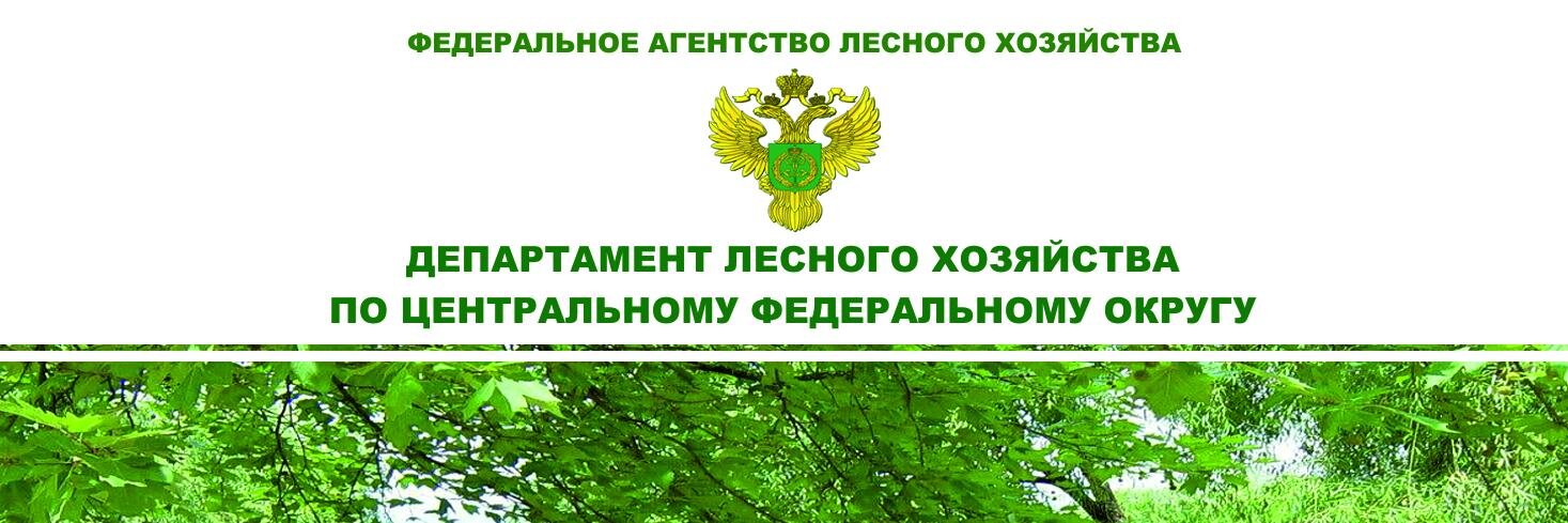 dlhcfo's profile banner image