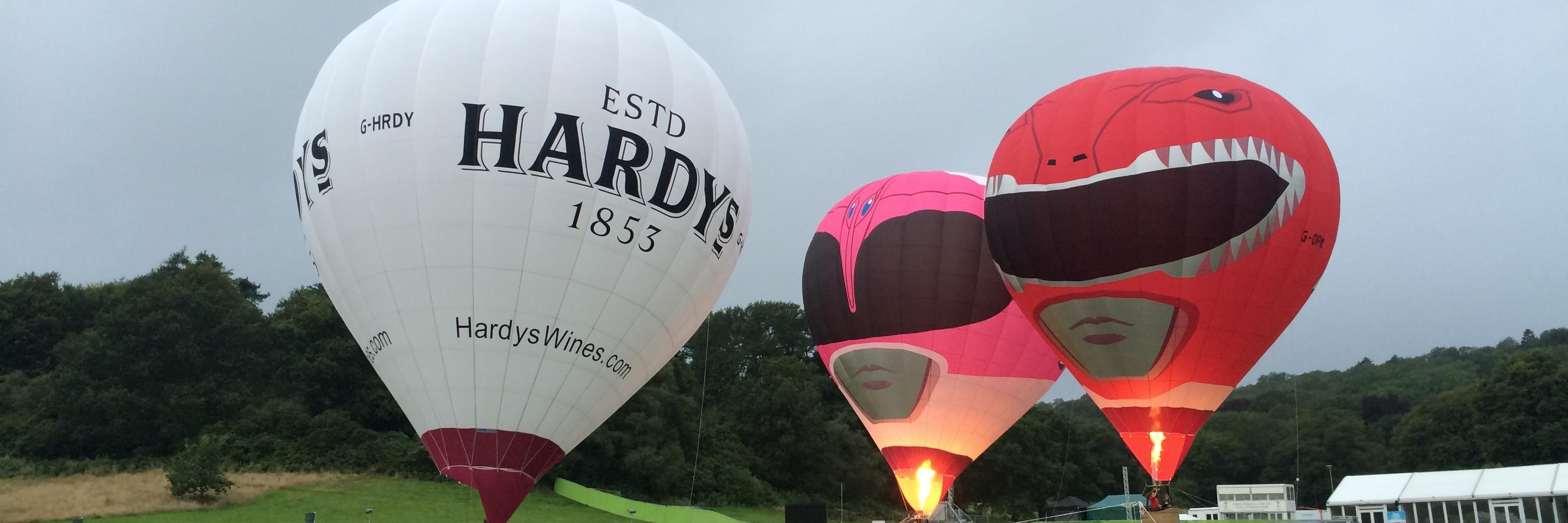 Flying Enterprises banner