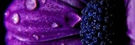 omazzam's profile banner image