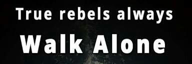 abinayavk's profile banner image