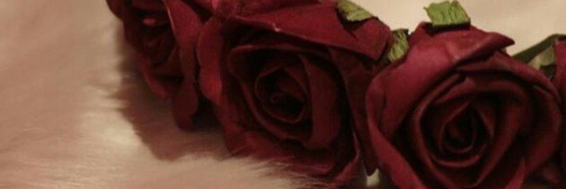mnmnoo223's profile banner image