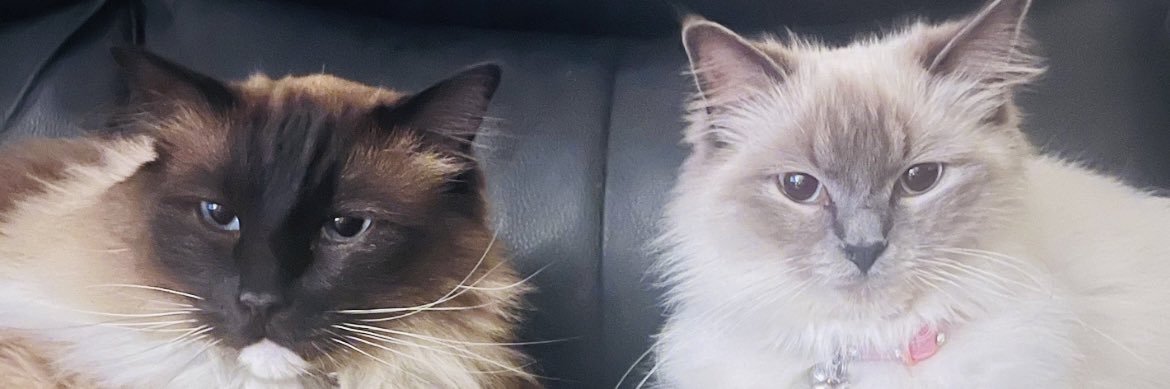 Kjd76's profile banner image